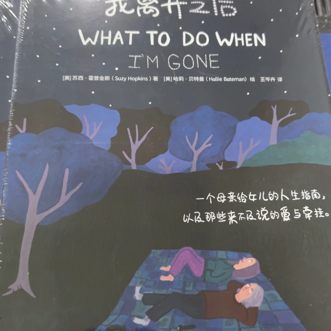 我离开之后精装一个