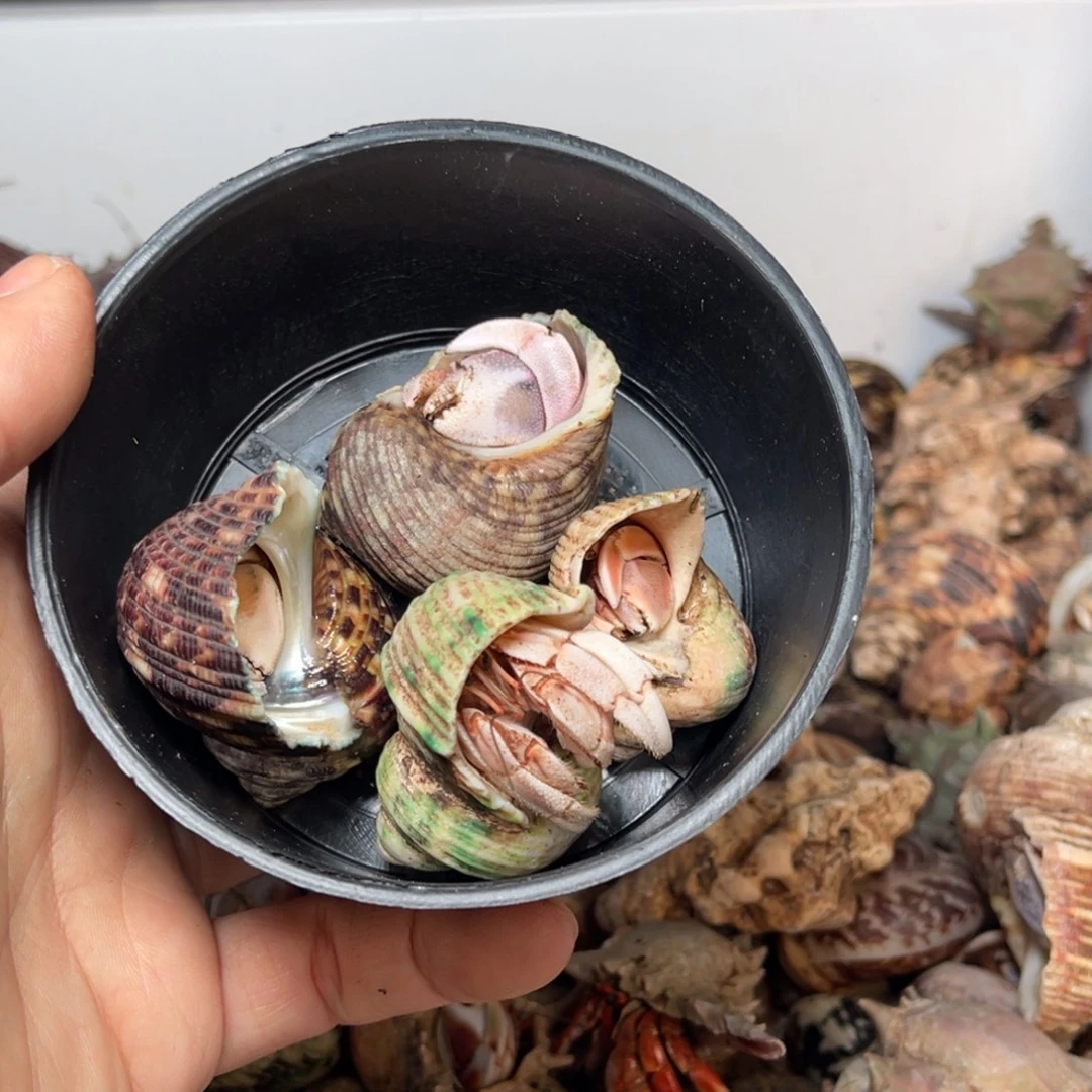 腿***）小哥好漂亮的说不说呀