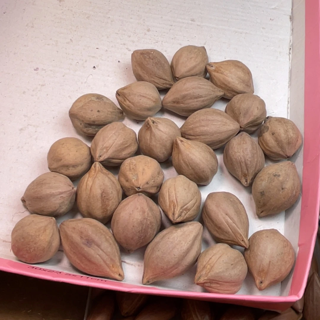 用***0橄榄核手串/手链1