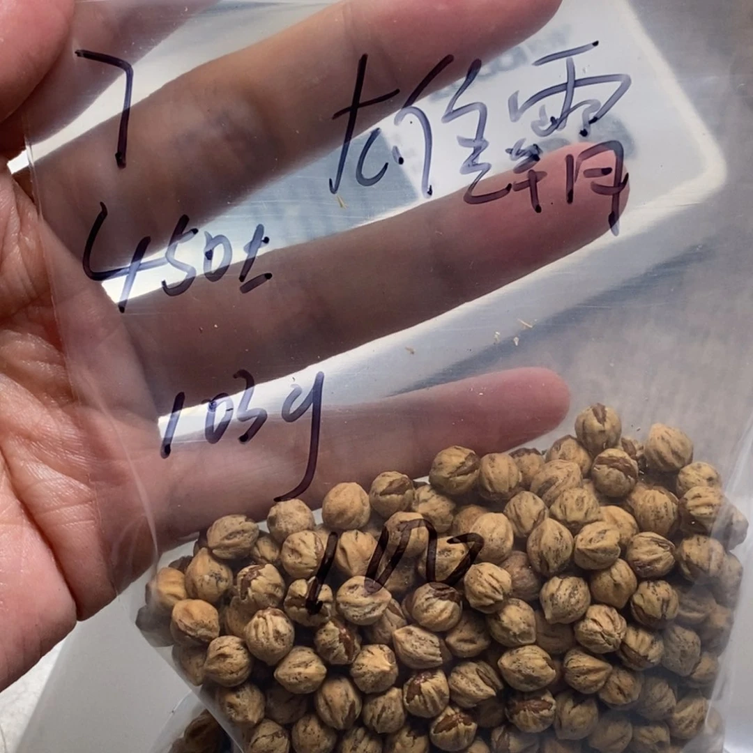 柏香籽/百香籽吊坠雄*