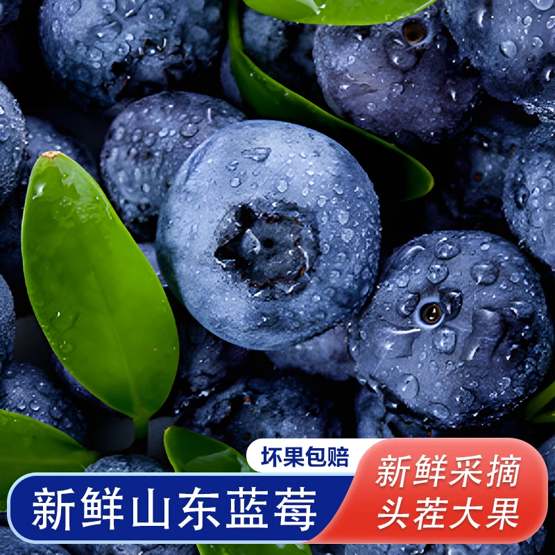 D1山东蓝莓新鲜现摘现发应季水果脆甜100g/盒 坏果包赔