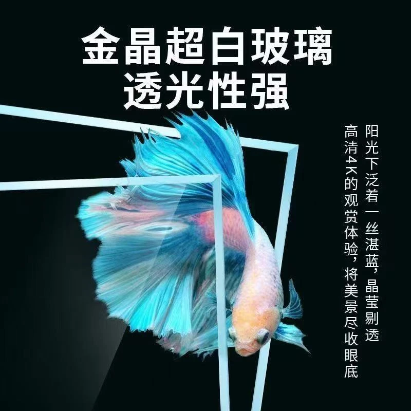 鱼缸福利鱼客厅家用新手养鱼水族箱斗鱼立体鱼办公室龟缸