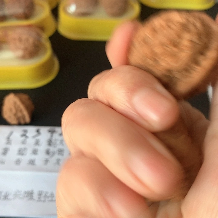 文玩核桃吊坠L*36尺玛蚁