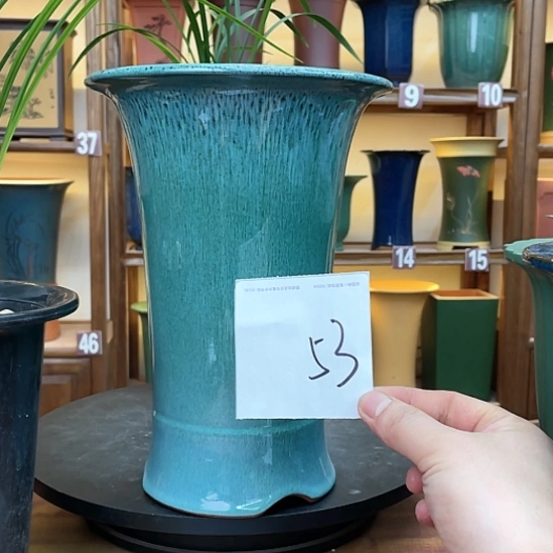 【闪购商品】紫砂花盆兰*兰花943464884646464948