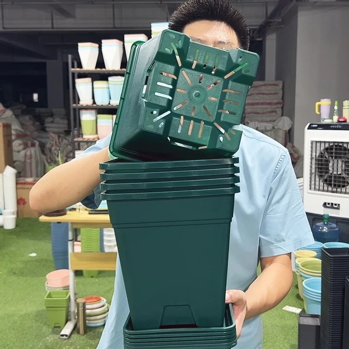 正品方盆口20高22墨绿5只带托