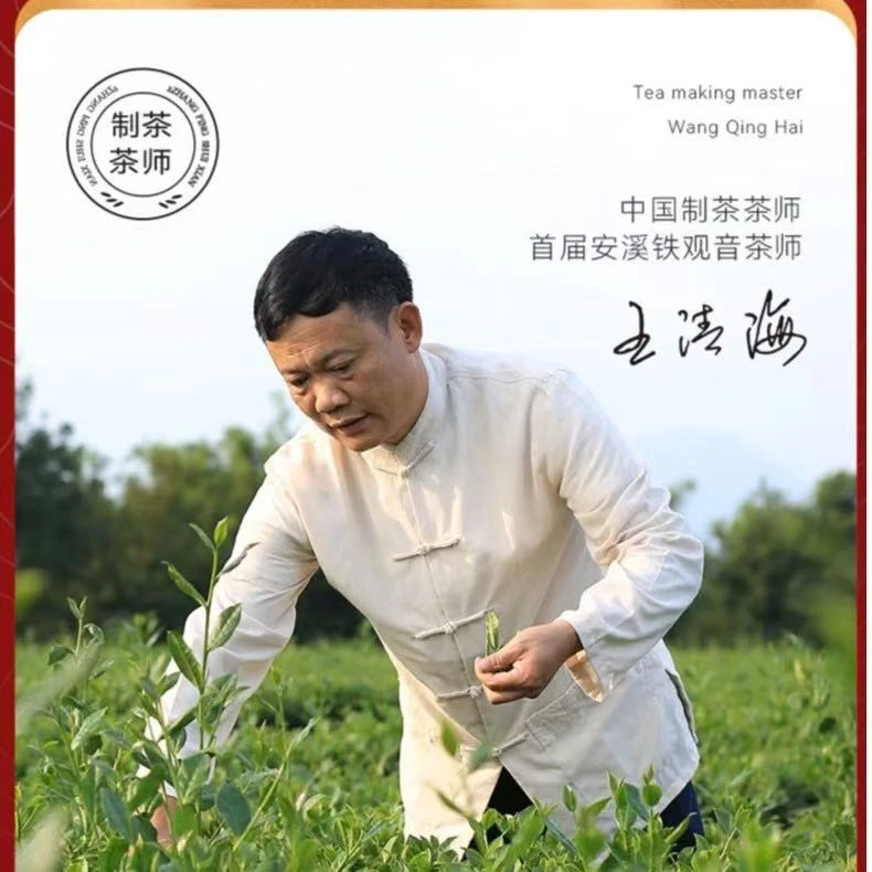 【临时链接】铁观音1泡
