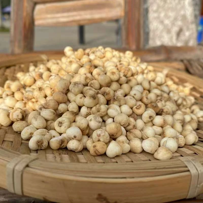 【杨老妹】山货贝母200克 农产品平时可搭配枸杞