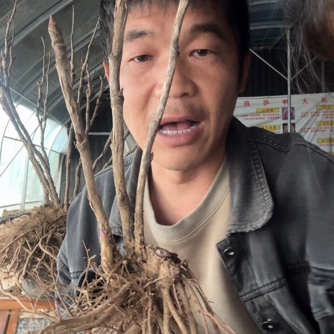 首案红003。