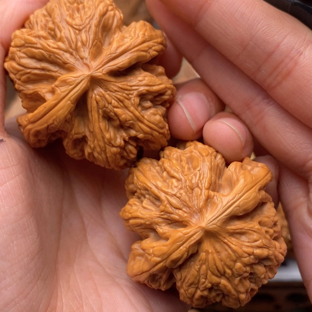 把件文玩核桃302高45粗筋
