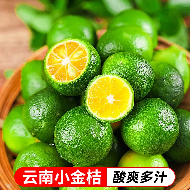 云南新鲜小金桔青金桔清香酸爽多汁柠檬奶茶店专用TY