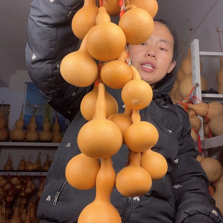 我**贝天然葫芦一物一图看图片