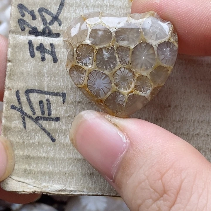 颈饰未镶嵌硅化珊瑚（珊瑚玉）用****1小