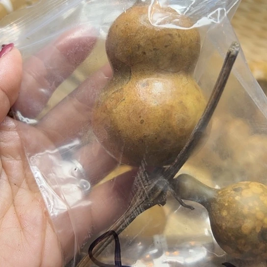 随*葫芦葫芦葫芦葫芦葫芦