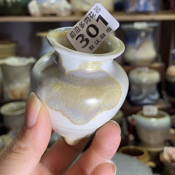 狼盆内口径3高度6