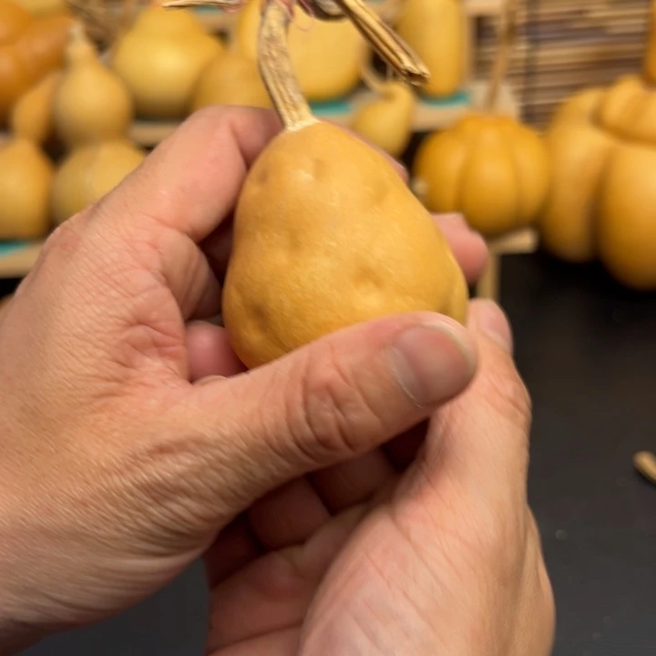 夏*666666666666999999