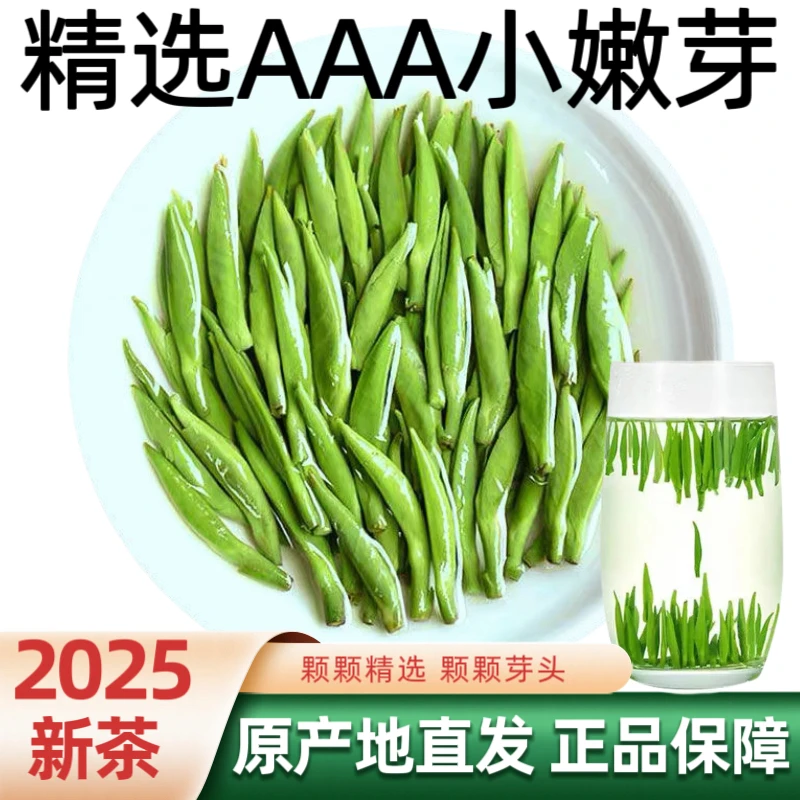 正宗雀舌绿茶2025新茶明前绿茶特级嫩芽高山毛尖湄潭嫩芽浓香型