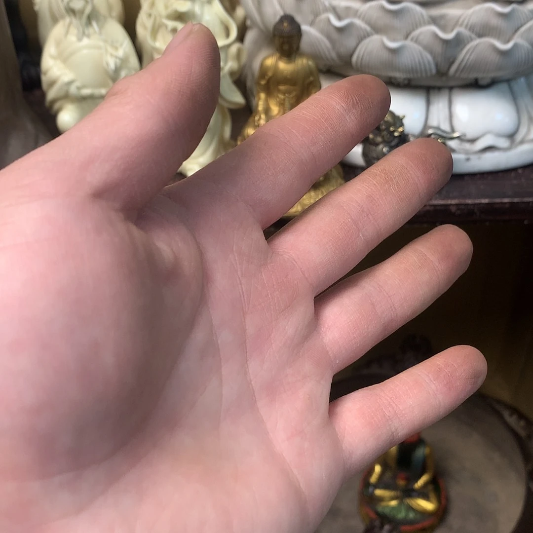 紫砂茶宠工艺美术作品A*C