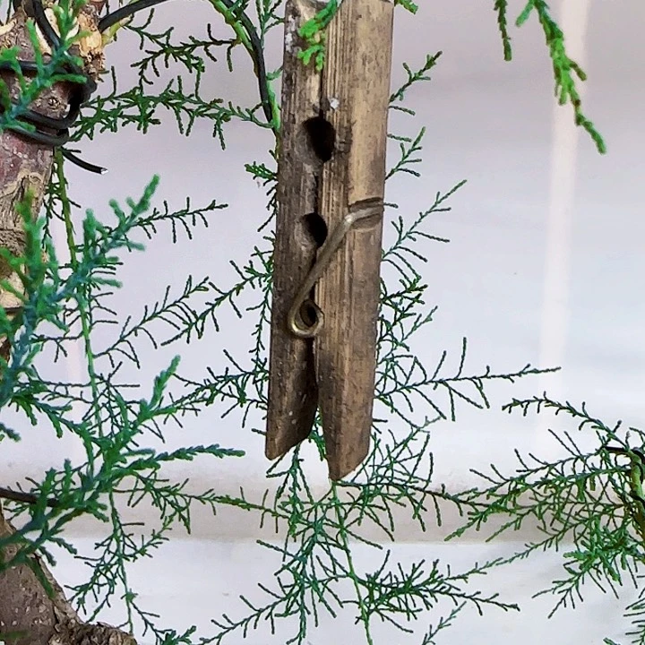 阿*d g h j j k k k k