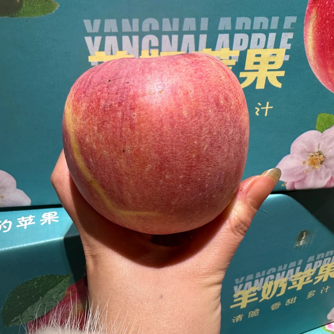 【38女神】酥嫩甜脆羊奶苹果一箱  毛重约7斤