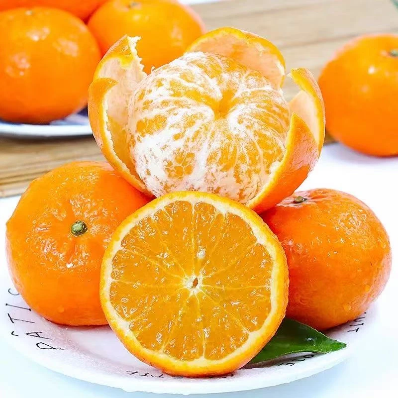 【果匀精选】四川金太阳沃柑口口爆汁纯甜无酸3斤净果（果匀群力店）四川省