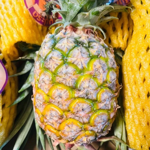 果切海南胖姐金钻凤梨一颗新鲜水果