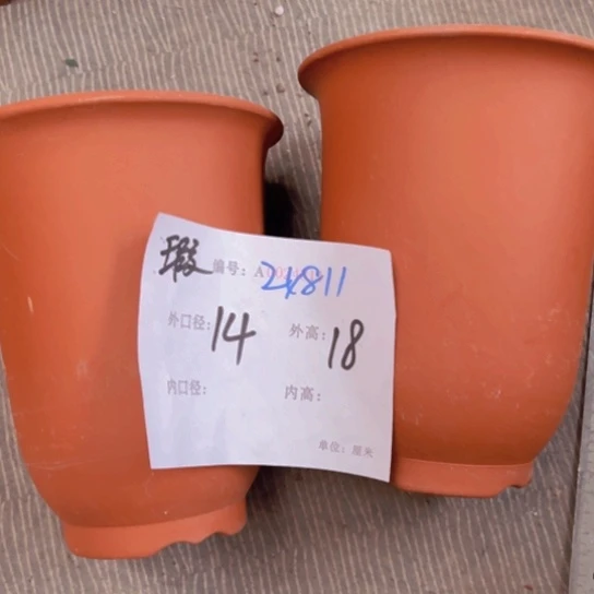 紫砂花盆花卉工艺
