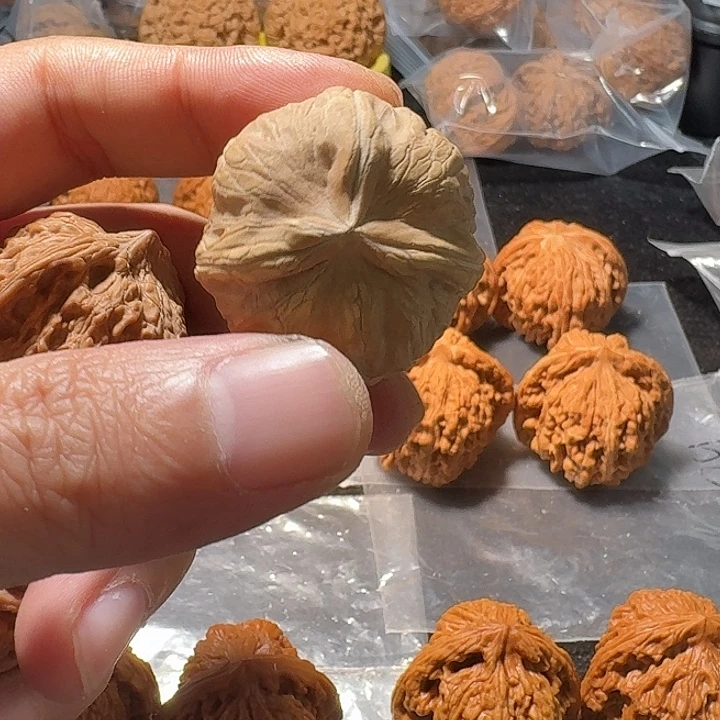 糖***猫满天心，差尺。。。。。