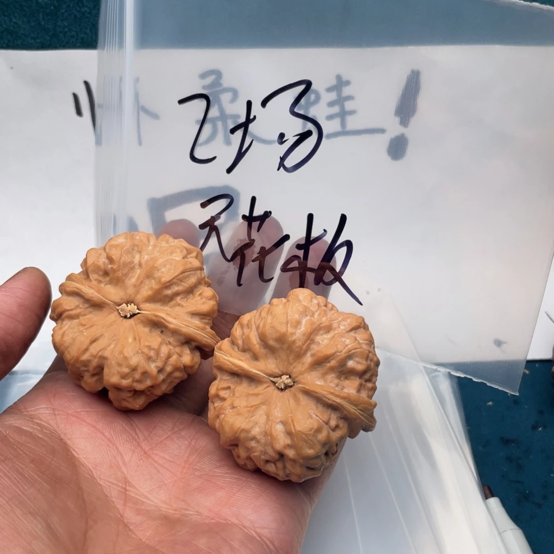 我96349646949669494669