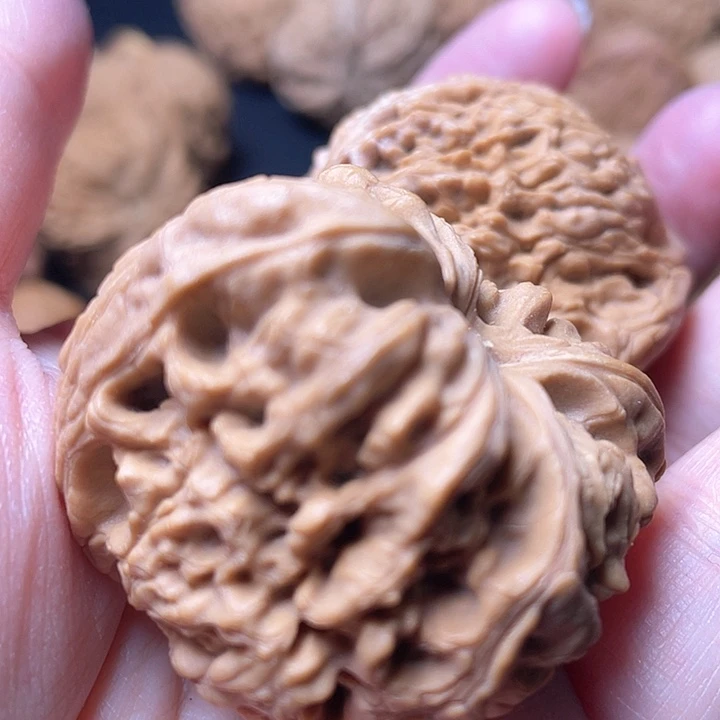 核桃忆*年核桃哈哈哈哈哈