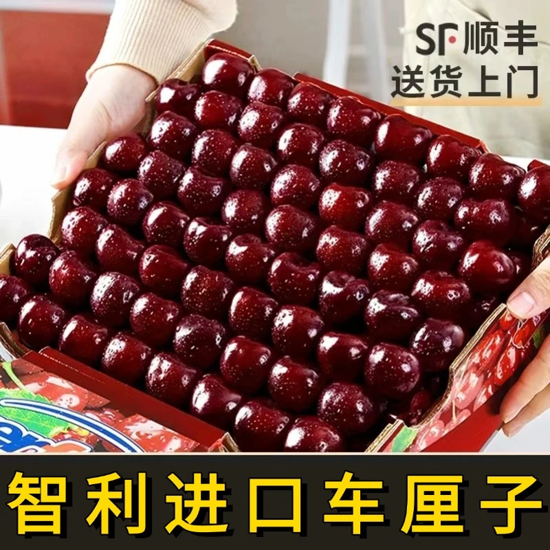 拉宾斯智利车厘子海运净重5斤现货J-5JG新鲜包邮A 内附果径卡