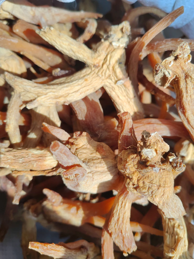 云南土特产…高丽红干货链接