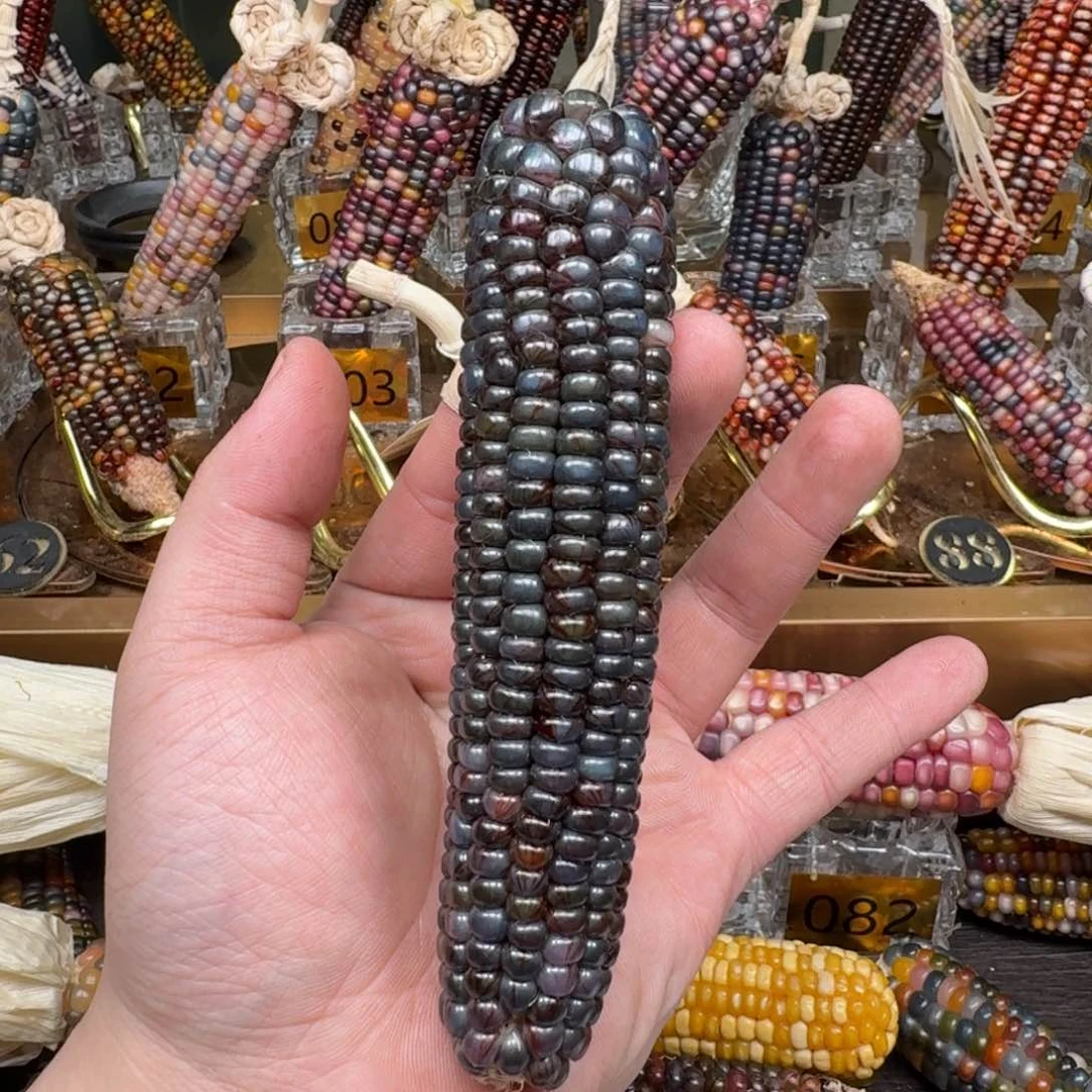 柏香籽/百香籽吊坠卡*哒