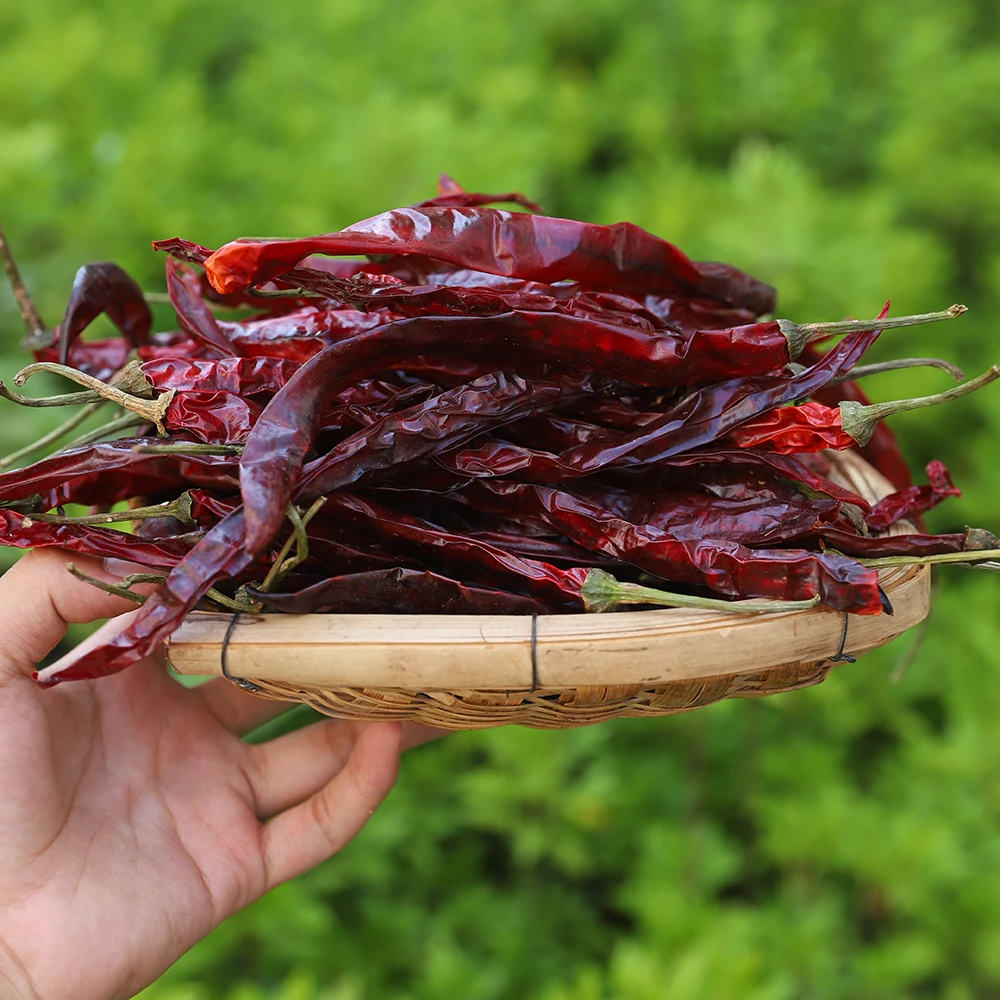 【敖会长】贵州皱皮辣椒干辣椒微辣特香荆条线椒香辣新货