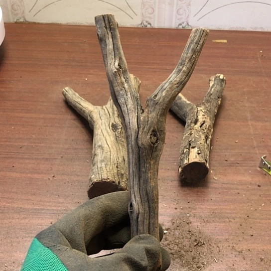 大果紫檀(缅甸花梨).****路