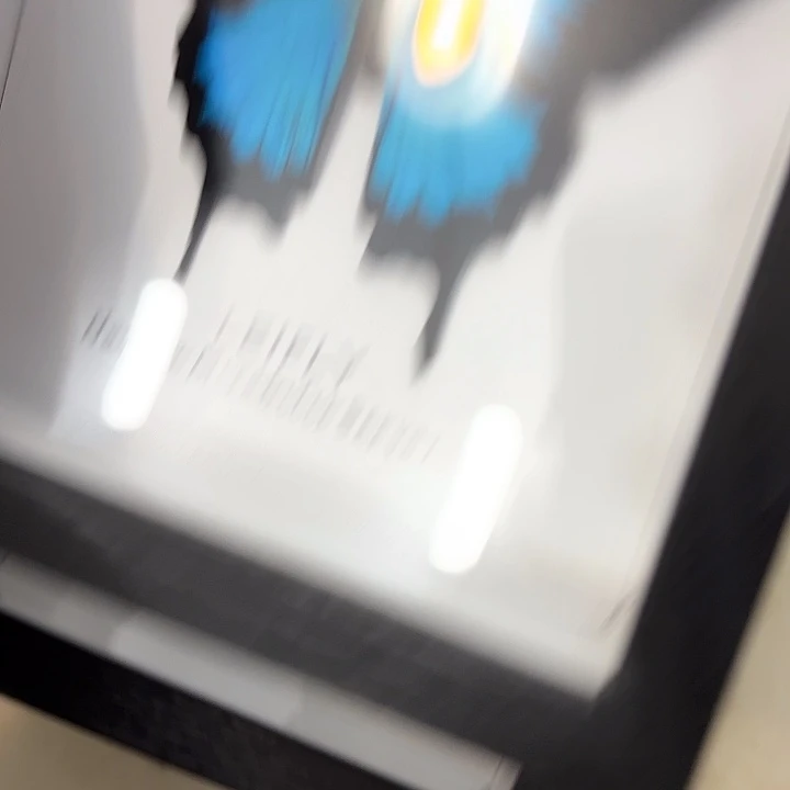 蝴蝶标本定制版124