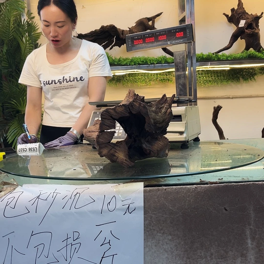 飞***鱼柚木沉木鱼缸造景