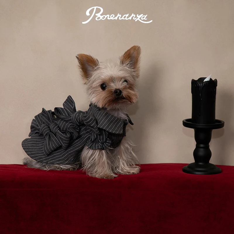 Bonennaza｜Jazz Ball爵士舞会叛逆协奏花苞袖衬衫