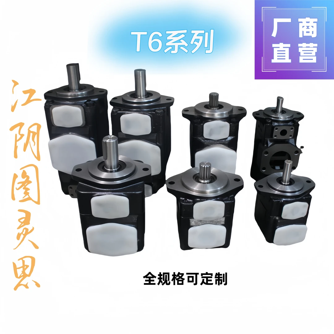 T6全系高压叶片泵#液压泵#油泵T6C,T6D,T6E,T6CC,T6DC,T6EC,T6ED