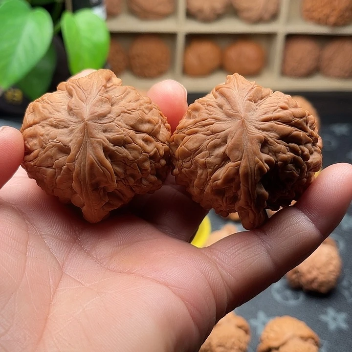 文玩核桃把件全品龙鼎边50