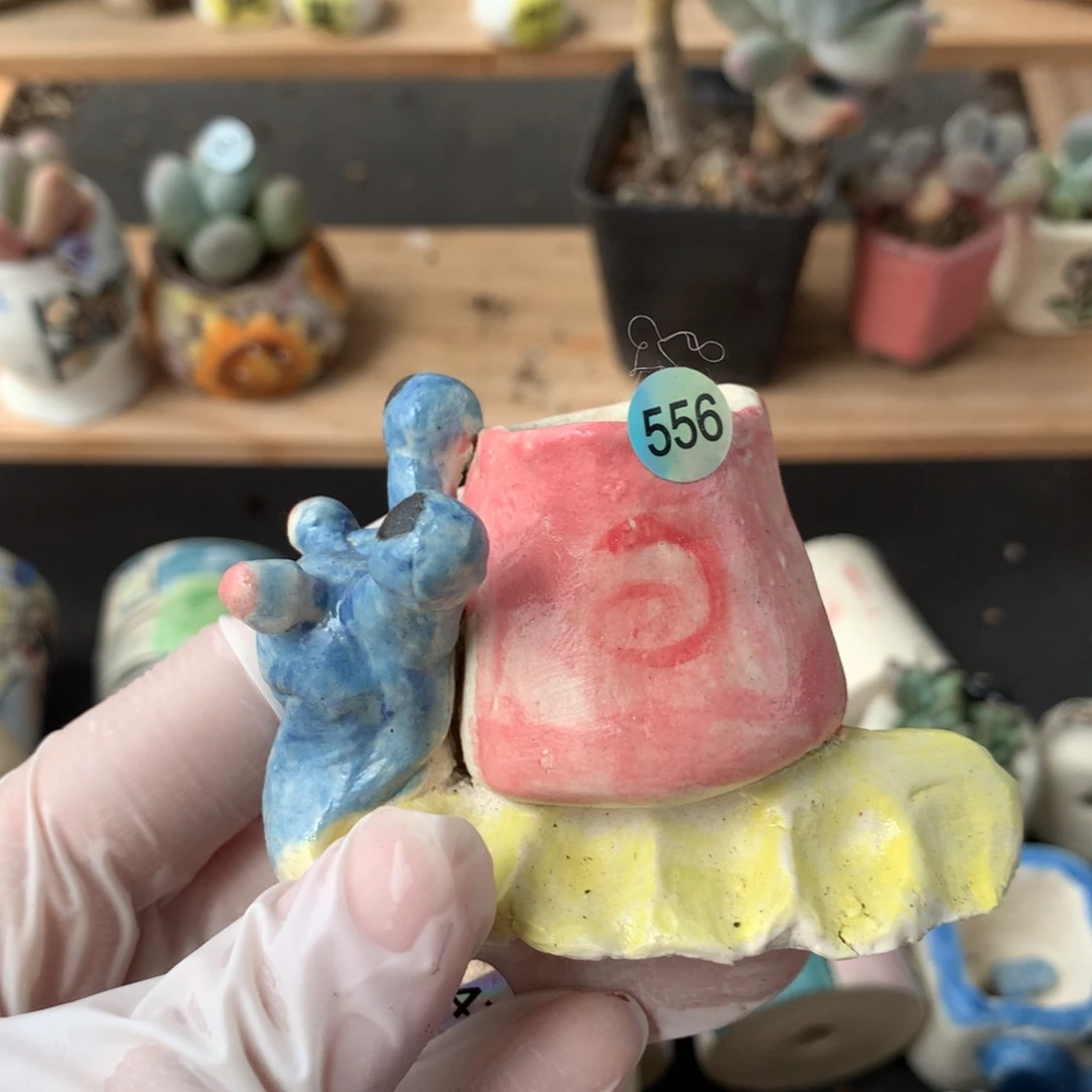 花盆哈哈哈哈哈哈哈哈哈哈