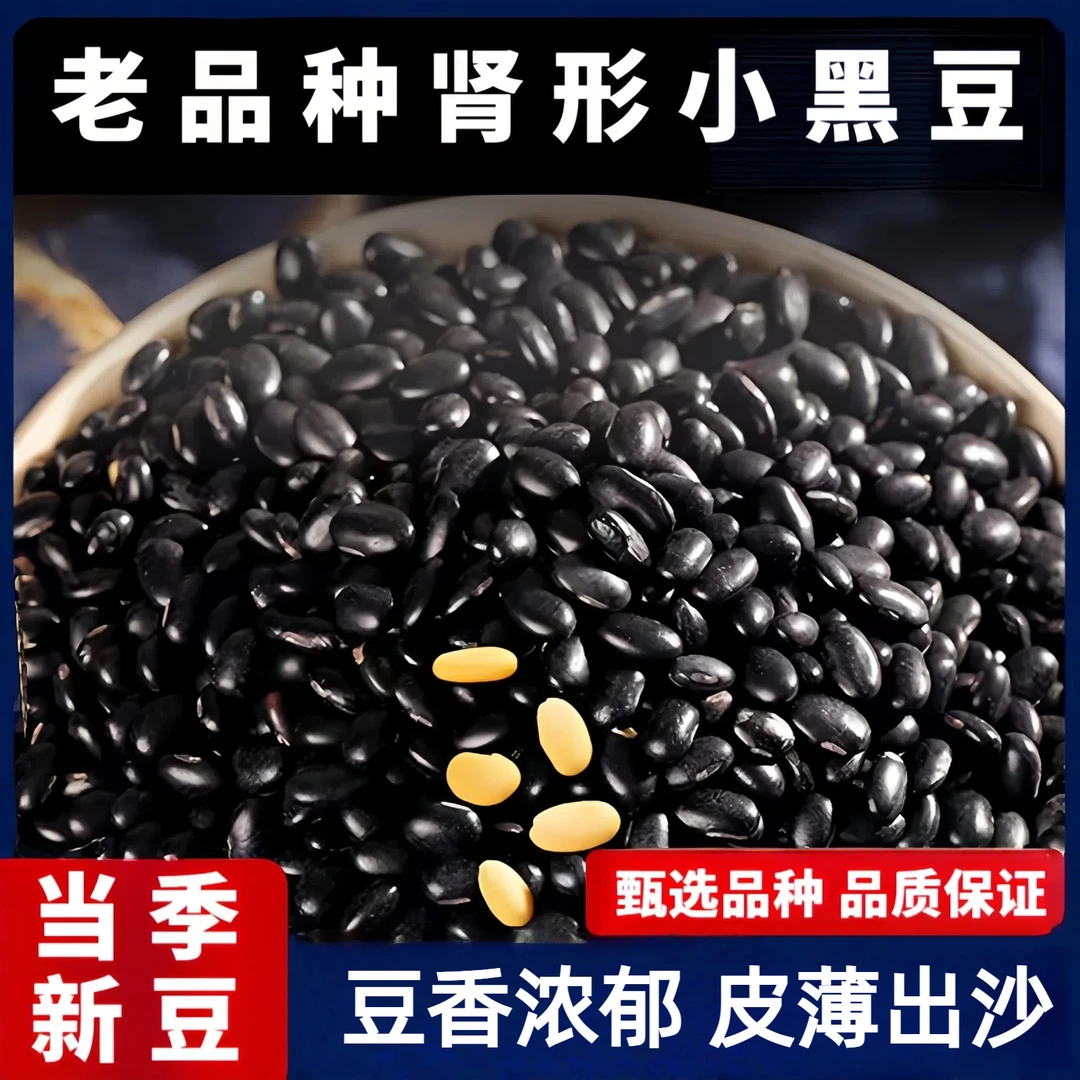 老品种肾形黄心黑豆药黑豆纯黑豆雄黑豆农家自产非转基因药食同源