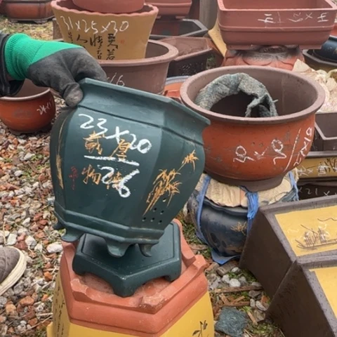 红陶花盆盆景盆盆栽