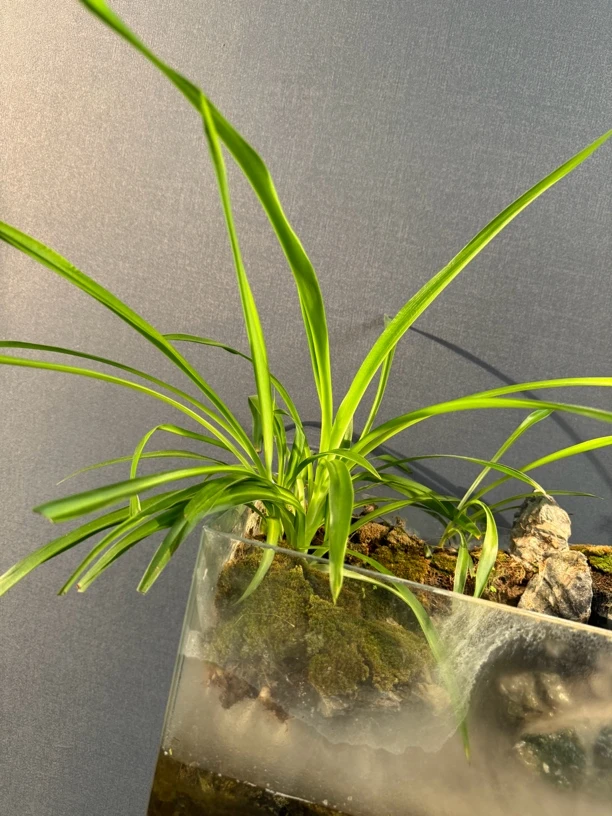宜兴紫砂壶原矿紫砂 专用链接