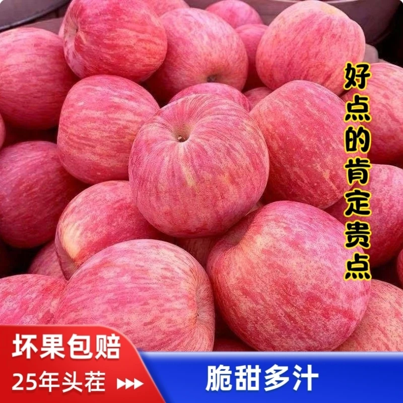 【新鲜且真实宣传】陕西高山红富士新鲜苹果脆甜多汁水果整箱包邮