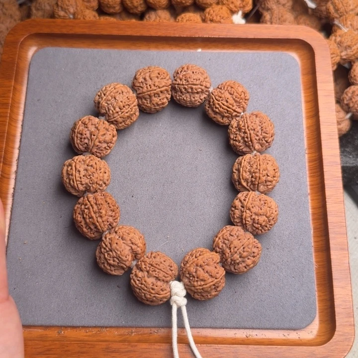 菩提10号尼泊尔大金刚24六瓣梅花