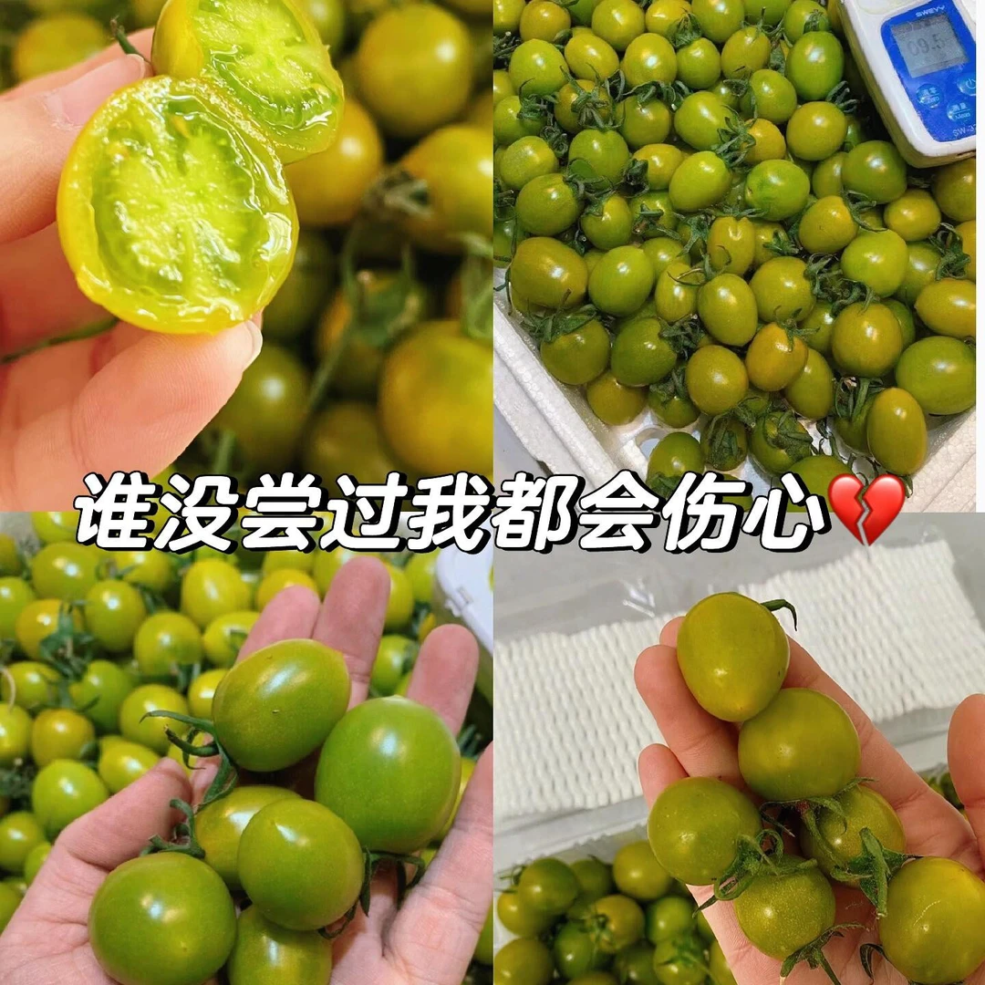 甜豆绿宝石柿子  一份一盒