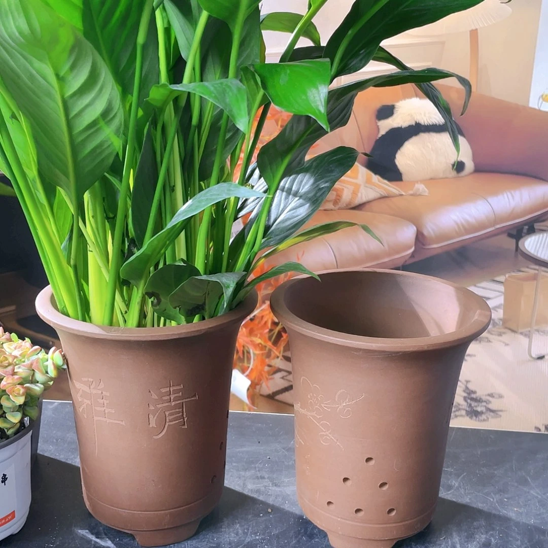 红陶紫砂花盆两个装