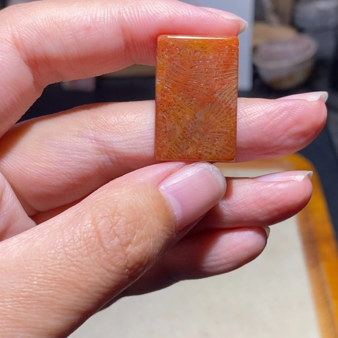 【闪购商品】硅化玉珊瑚玉未镶嵌