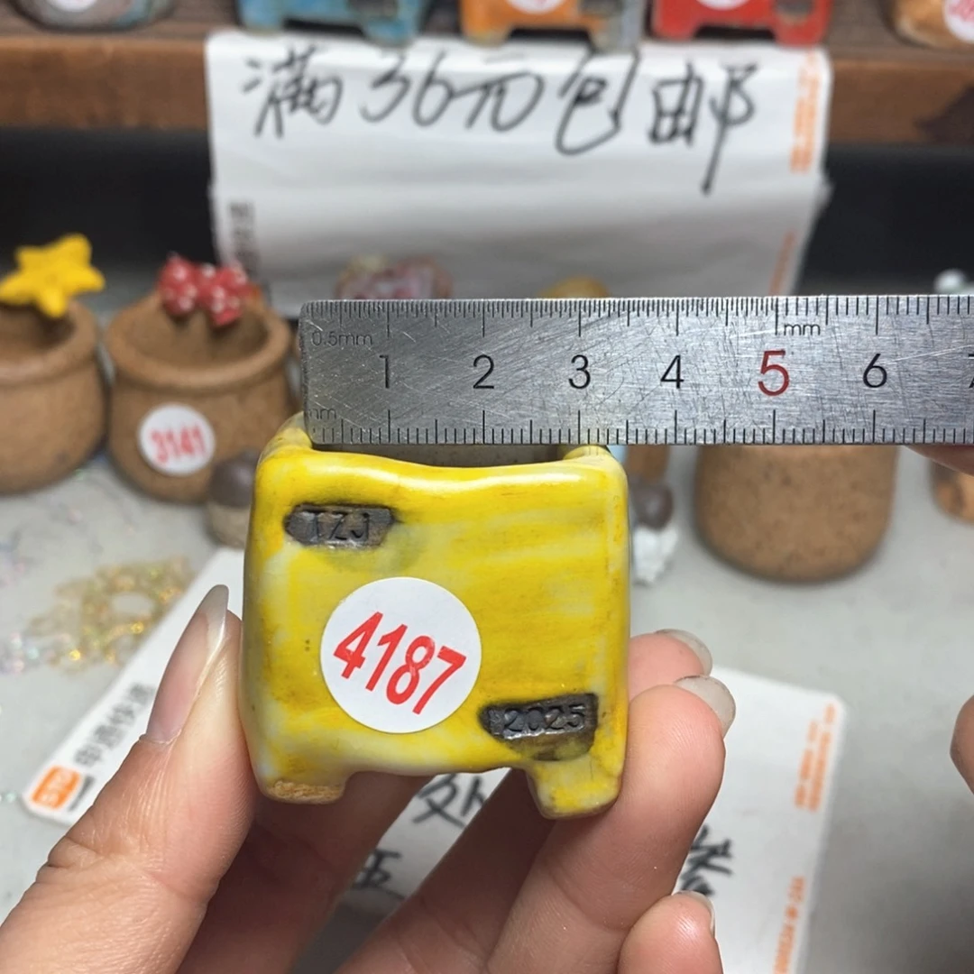 红陶拍5送一个小