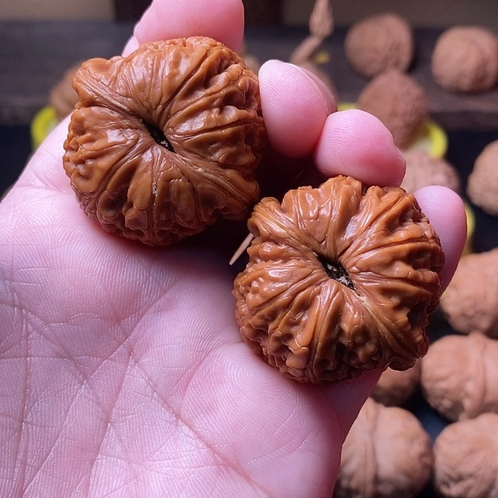 *****大叶紫檀（黑酸枝木类）核桃